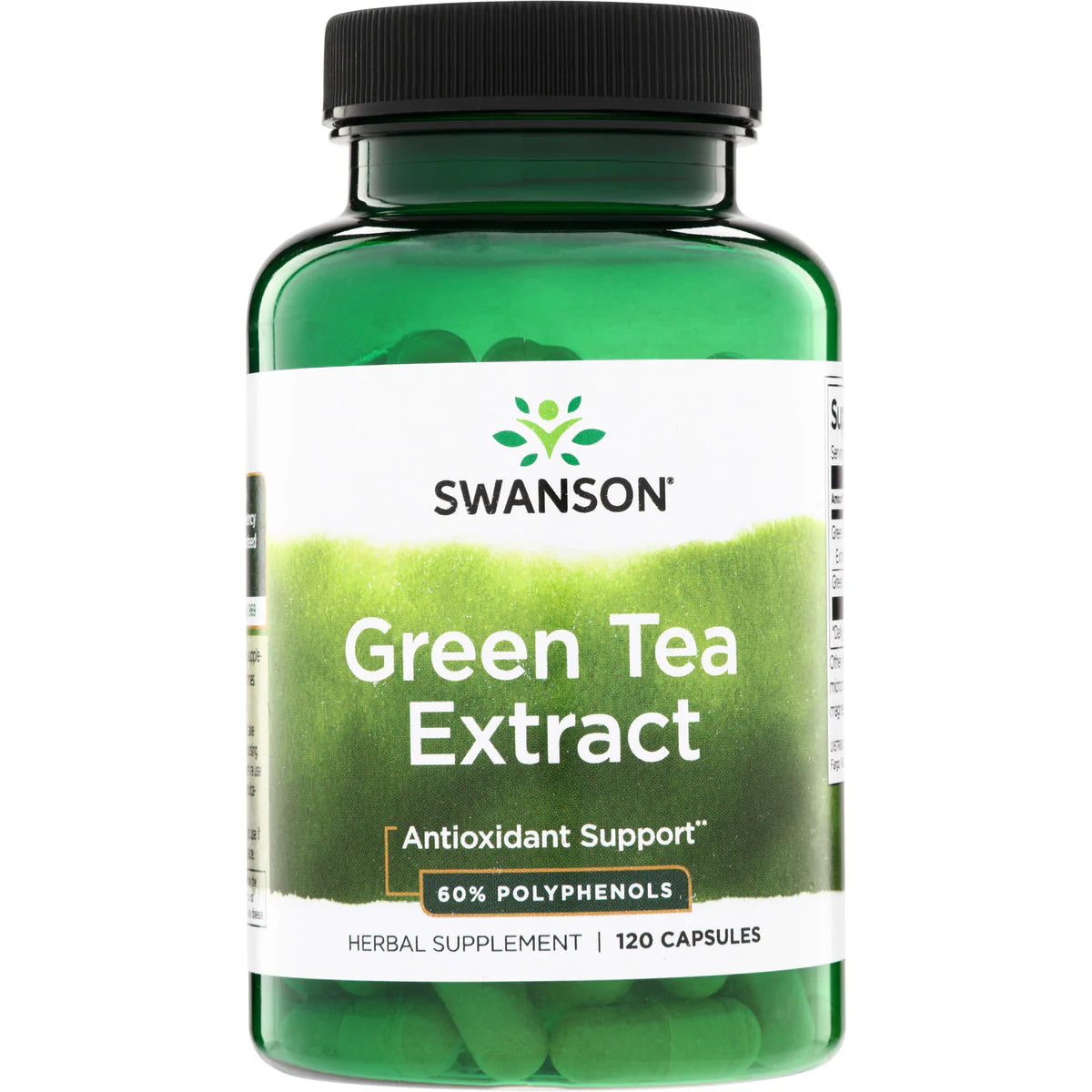 Green Tea Extract - 60% Polyphenols