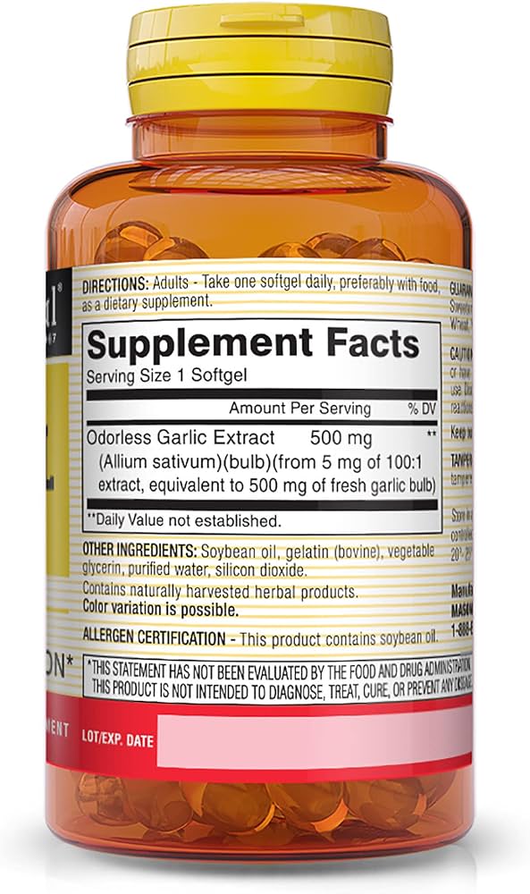 Mason Natural Odorless Garlic 500 mg