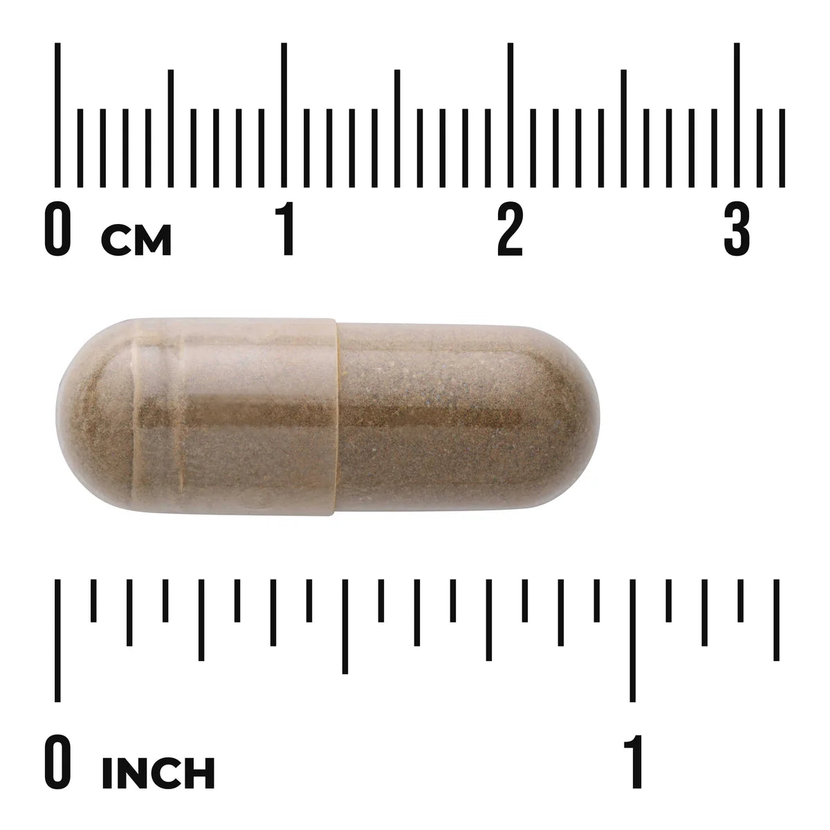 Green Tea Extract - 60% Polyphenols