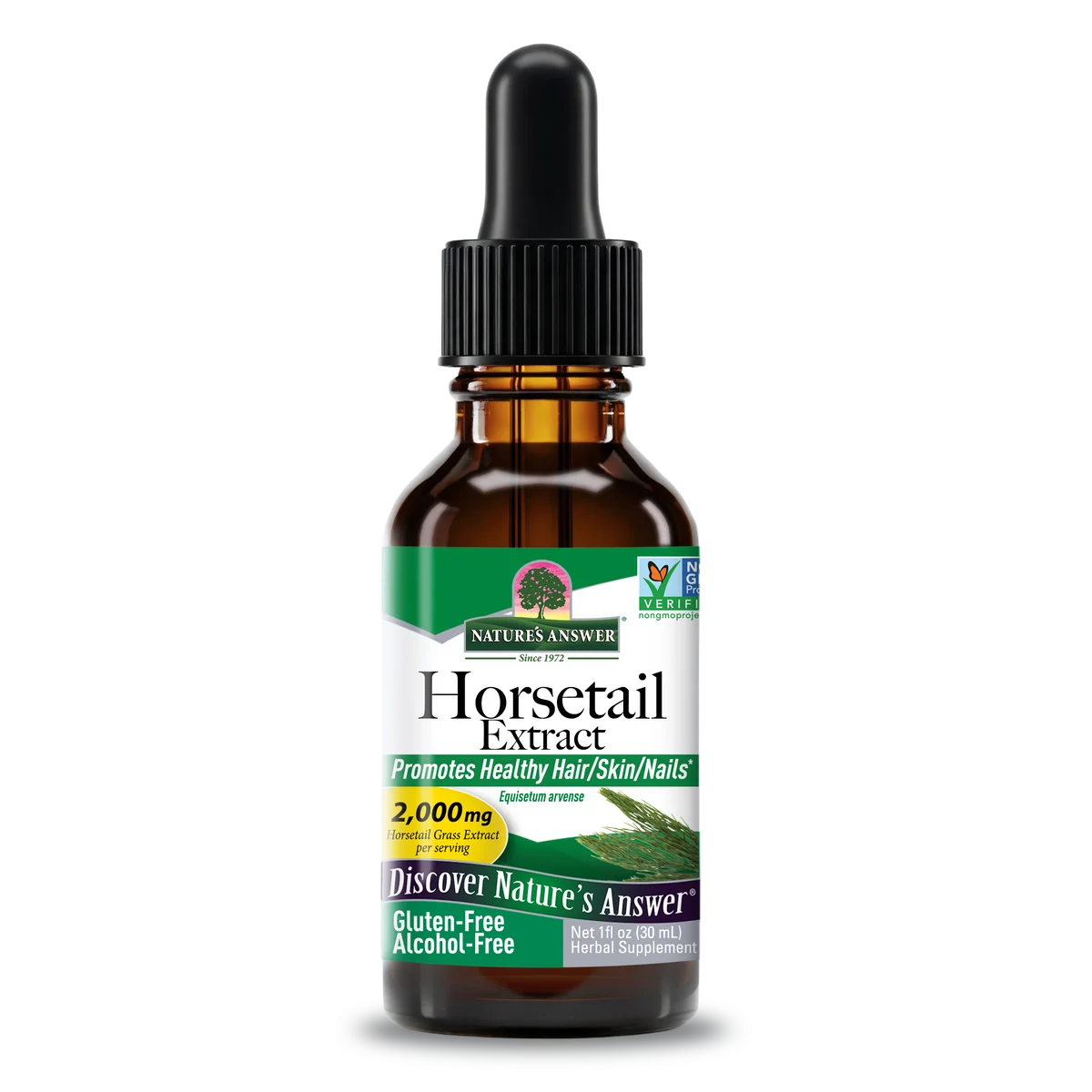 Horsetail Extract - Alcohol Free Liquid