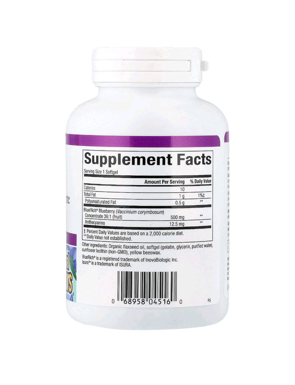 Natural Factors Blueberry Concentrate 500 mg