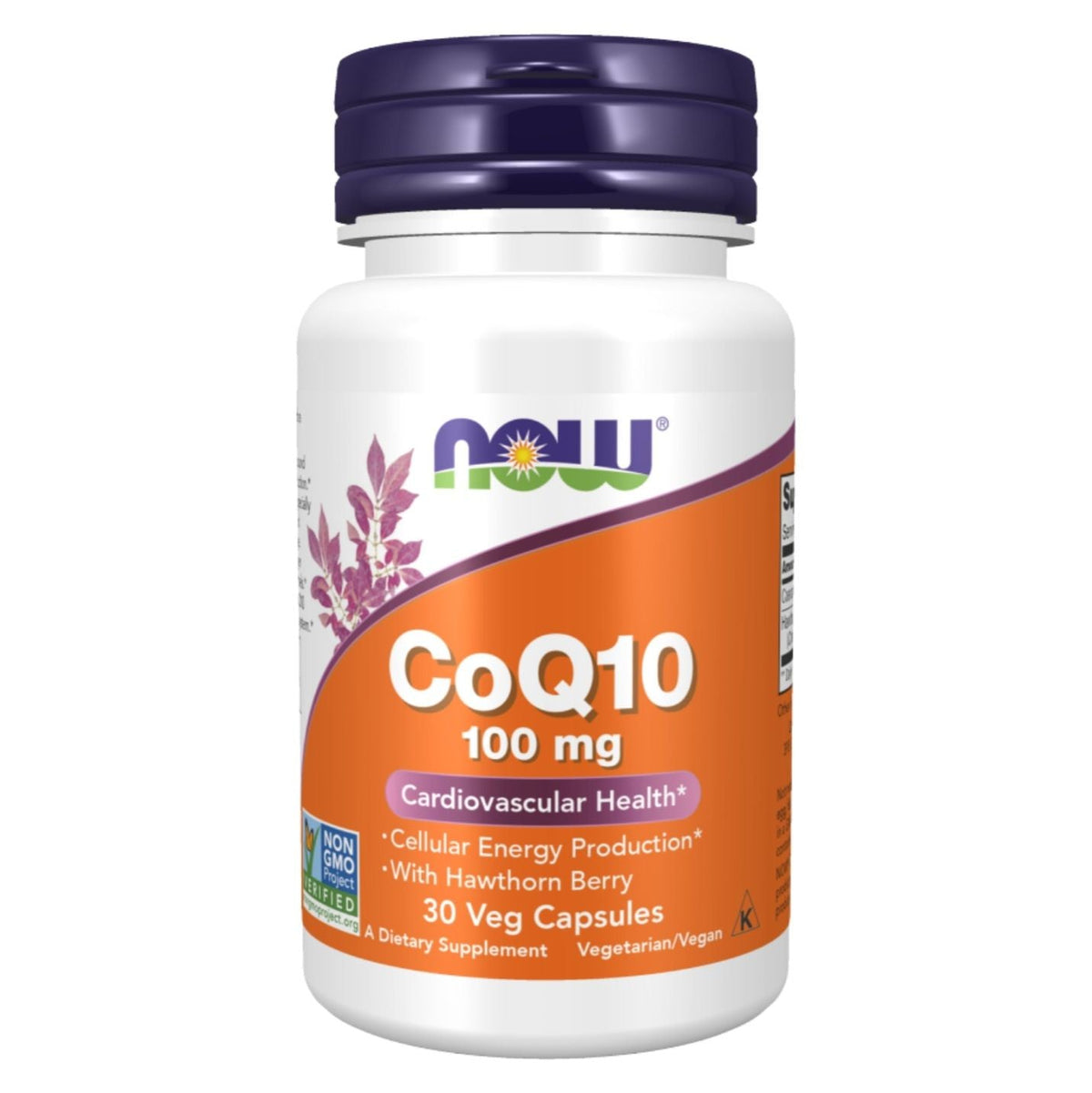 NOW CoQ10 100 mg